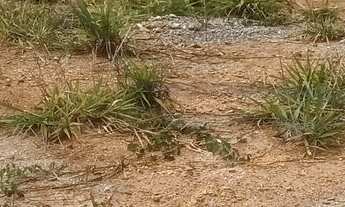 Imagem 6: Terreno à venda no bairro Jardim Panorama - Itatiba/SP