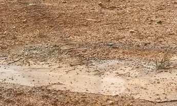 Imagem: Terreno à venda no bairro Jardim Panorama