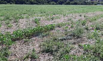 Imagem 5: Área Industrial em Sítio da Moenda, Itatiba/SP