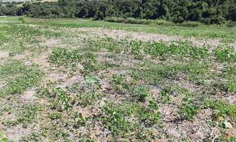 Imagem 6: Área Industrial em Sítio da Moenda, Itatiba/SP
