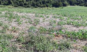 Imagem 7: Área Industrial em Sítio da Moenda, Itatiba/SP