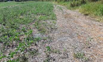Imagem 4: Área Industrial em Sítio da Moenda, Itatiba/SP