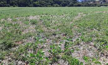 Imagem: Área Industrial em Sítio da Moenda, Itatiba/SP
