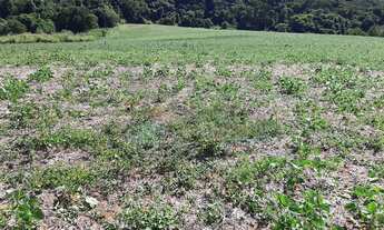 Imagem 2: Área Industrial em Sítio da Moenda, Itatiba/SP