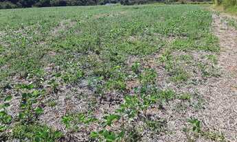 Imagem 3: Área Industrial em Sítio da Moenda, Itatiba/SP