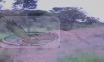 Imagem: Terreno para Venda em Real Parque Dom Pedro