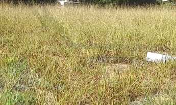 Imagem: Área à venda no bairro Loteamento Santo