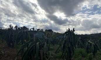 Imagem 4: Sítio à venda no bairro Bairro do Morro - Itatiba/SP