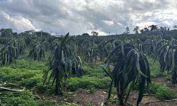 Imagem 2: Sítio à venda no bairro Bairro do Morro - Itatiba/SP