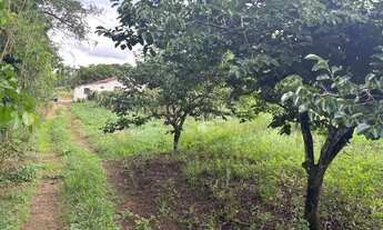 Imagem 5: Sítio à venda no bairro Bairro do Morro - Itatiba/SP