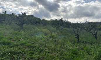 Imagem 3: Sítio à venda no bairro Bairro do Morro - Itatiba/SP