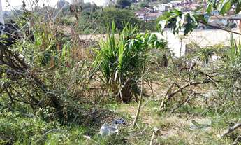Imagem: Terreno Lote para Venda em Loteamento Aída