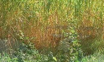 Imagem 6: Terreno à venda no bairro Jardim Leonor - Itatiba/SP