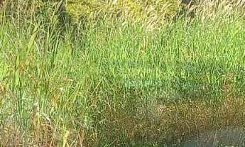 Imagem 2: Terreno à venda no bairro Jardim Leonor - Itatiba/SP