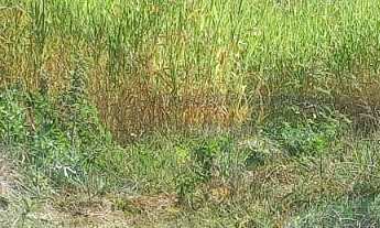 Imagem 3: Terreno à venda no bairro Jardim Leonor - Itatiba/SP