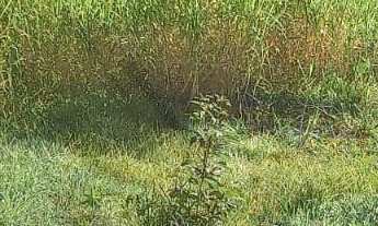 Imagem 5: Terreno à venda no bairro Jardim Leonor - Itatiba/SP