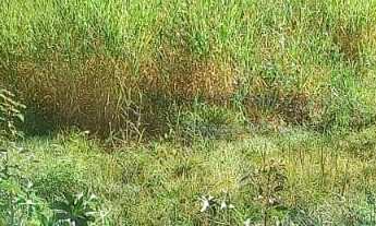 Imagem 7: Terreno à venda no bairro Jardim Leonor - Itatiba/SP