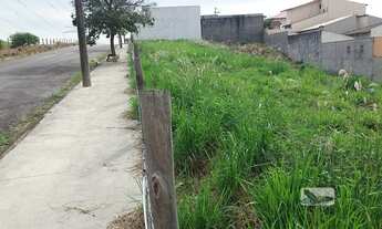 Imagem 7: Terreno Lote - Industrial