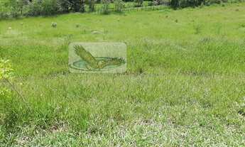 Imagem 5: Sítio para Venda em Mombuca Itatiba-SP