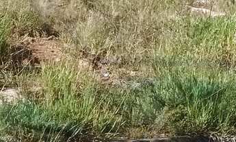 Imagem 7: Terreno à venda no bairro Nova Itatiba - Itatiba/SP