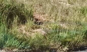 Imagem 5: Terreno à venda no bairro Nova Itatiba - Itatiba/SP
