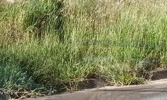 Imagem 3: Terreno à venda no bairro Nova Itatiba - Itatiba/SP
