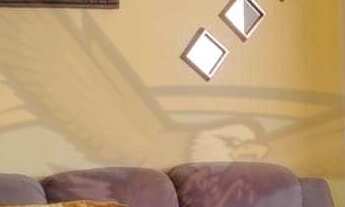 Imagem 3: Casa Padrão ( Corinthinha