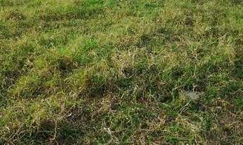 Imagem 6: Área Residencial para Venda em Loteamento Itatiba Park Itatiba-SP