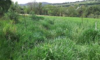 Imagem 4: Sítio à venda no bairro Campinho - Bragança Paulista/SP