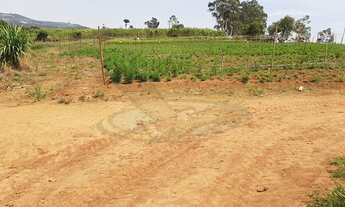Imagem 5: Sítio à venda no bairro Campinho - Bragança Paulista/SP