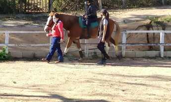 Imagem 5: Casa/Chácara, 3 dormitórios na Rua Flôr D água