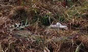Imagem: Terreno à venda no bairro Villaggio Fosuzzi