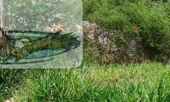 Imagem: Terreno para Venda em Horizonte Azul Itatiba-SP