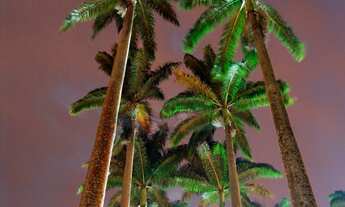 Imagem 4: Terreno à venda no bairro Condominio Village das Palmeiras - Itatiba/SP