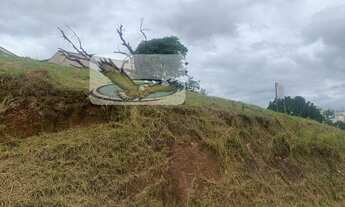 Imagem: Terreno para Venda em Morrão da Força