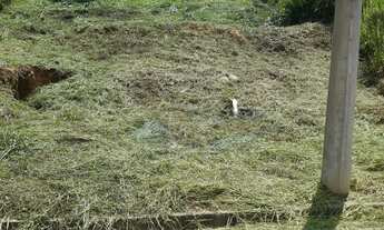 Imagem 3: Terreno em aclive - Bairro pronto para construir estuda carro na entrada!!!