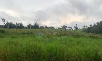 Imagem 4: Sítio com 6,5 Alqueires