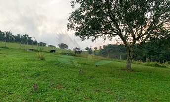 Imagem: Sítio com 6,5 Alqueires