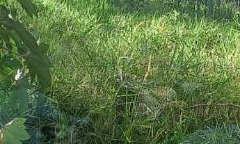 Imagem 6: Terreno à venda no bairro Jardim Leonor - Itatiba/SP