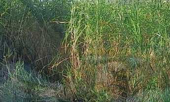 Imagem 1: Terreno à venda no bairro Jardim Leonor - Itatiba/SP