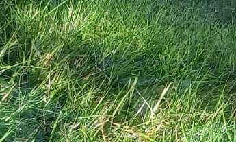 Imagem 3: Terreno à venda no bairro Jardim Leonor - Itatiba/SP