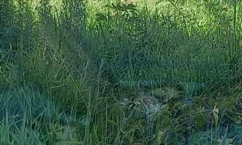 Imagem 2: Terreno à venda no bairro Jardim Leonor - Itatiba/SP