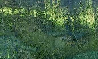 Imagem 4: Terreno à venda no bairro Jardim Leonor - Itatiba/SP