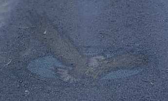 Imagem 5: Terreno à venda no bairro Jardim Leonor - Itatiba/SP