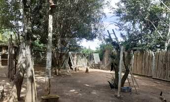 Imagem 4: Chácara para Venda em Jardim Monte Verde Itatiba-SP