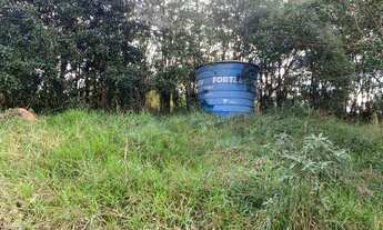 Imagem 4: Sítio Rural ( Não Aceita Financiamento e Nem Permuta , Somente Venda