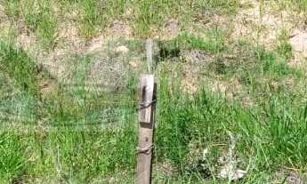 Imagem: Terreno Lote para Venda em Horizonte Azul