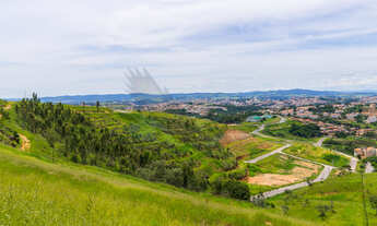 Imagem 4: Terreno ótima topografia, parte baixa do bairro
