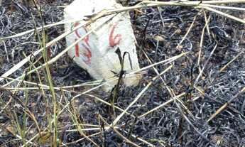 Imagem 5: Terreno à venda no bairro Villaggio Fosuzzi - Itatiba/SP