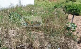 Imagem 7: Terreno já desmembrado